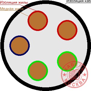 ВВГнг-1 5х50 мн